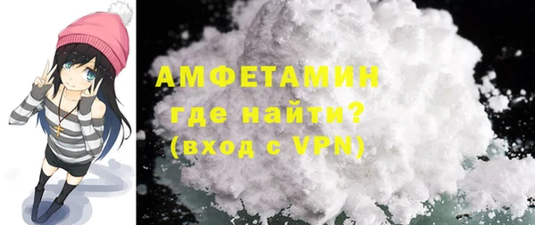 прущие грибы Новодвинск
