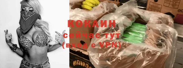 прущие грибы Новодвинск