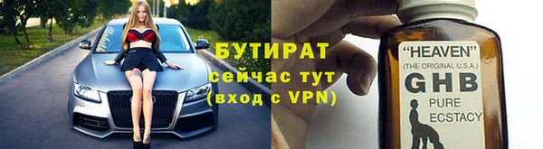 прущие грибы Новодвинск