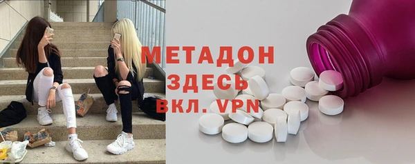прущие грибы Новодвинск