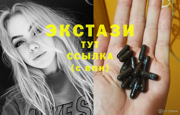 прущие грибы Новодвинск