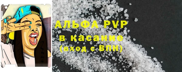 прущие грибы Новодвинск