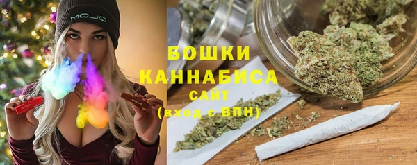 прущие грибы Новодвинск