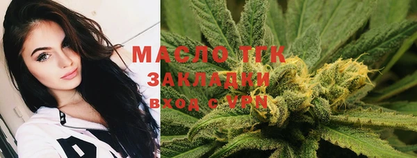 прущие грибы Новодвинск