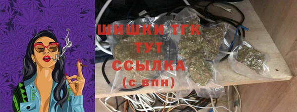 прущие грибы Новодвинск