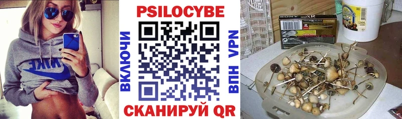 Галлюциногенные грибы Psilocybine cubensis  купить наркотик  Кяхта 
